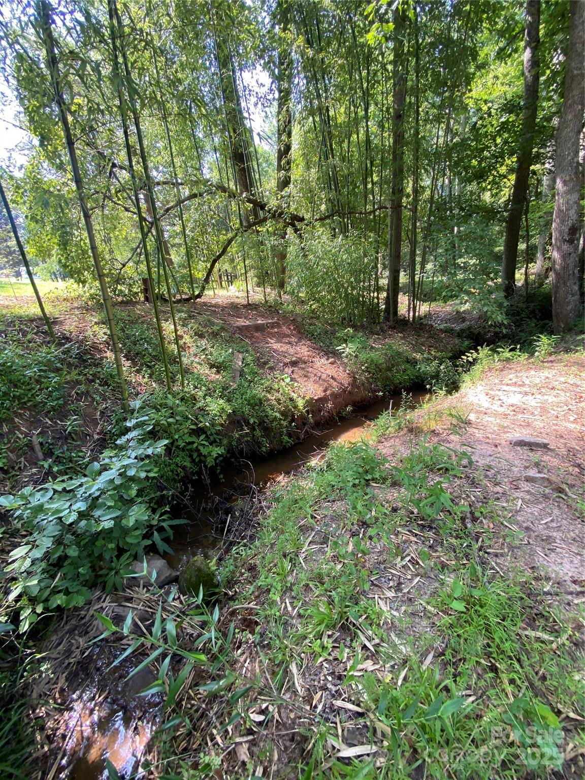 660 Pinehurst Road Ellenboro, NC 28040 - Photo 24 of 29 a view of a yard with plants and large trees
