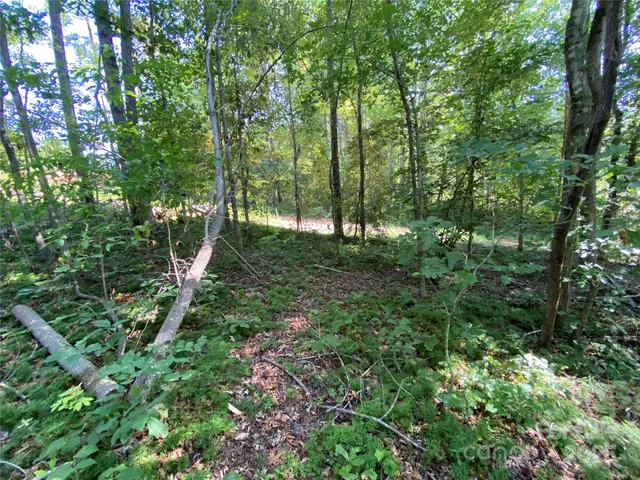 a view of outdoor space and garden