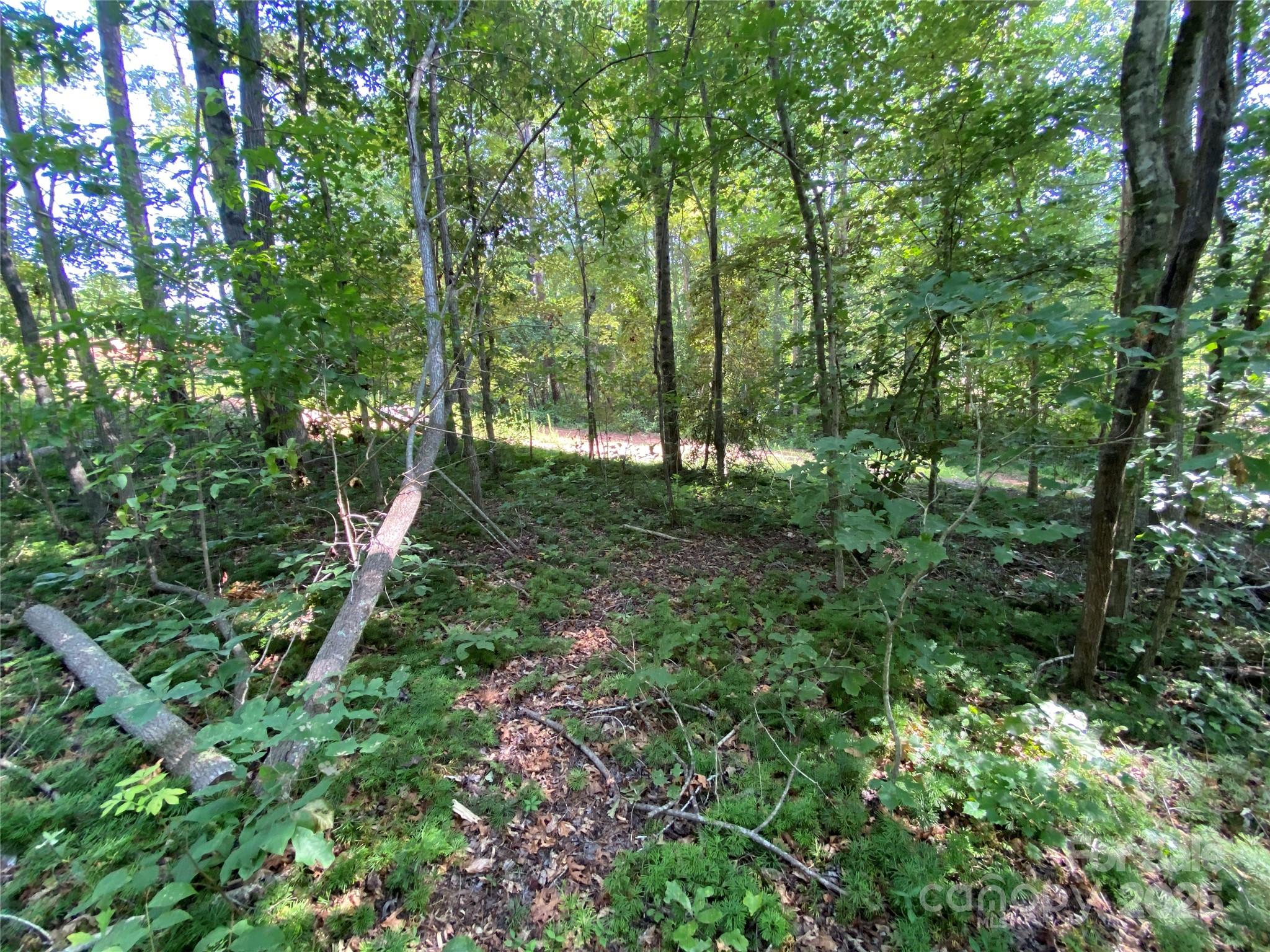 660 Pinehurst Road Ellenboro, NC 28040 - Photo 25 of 29 a view of a lush green forest