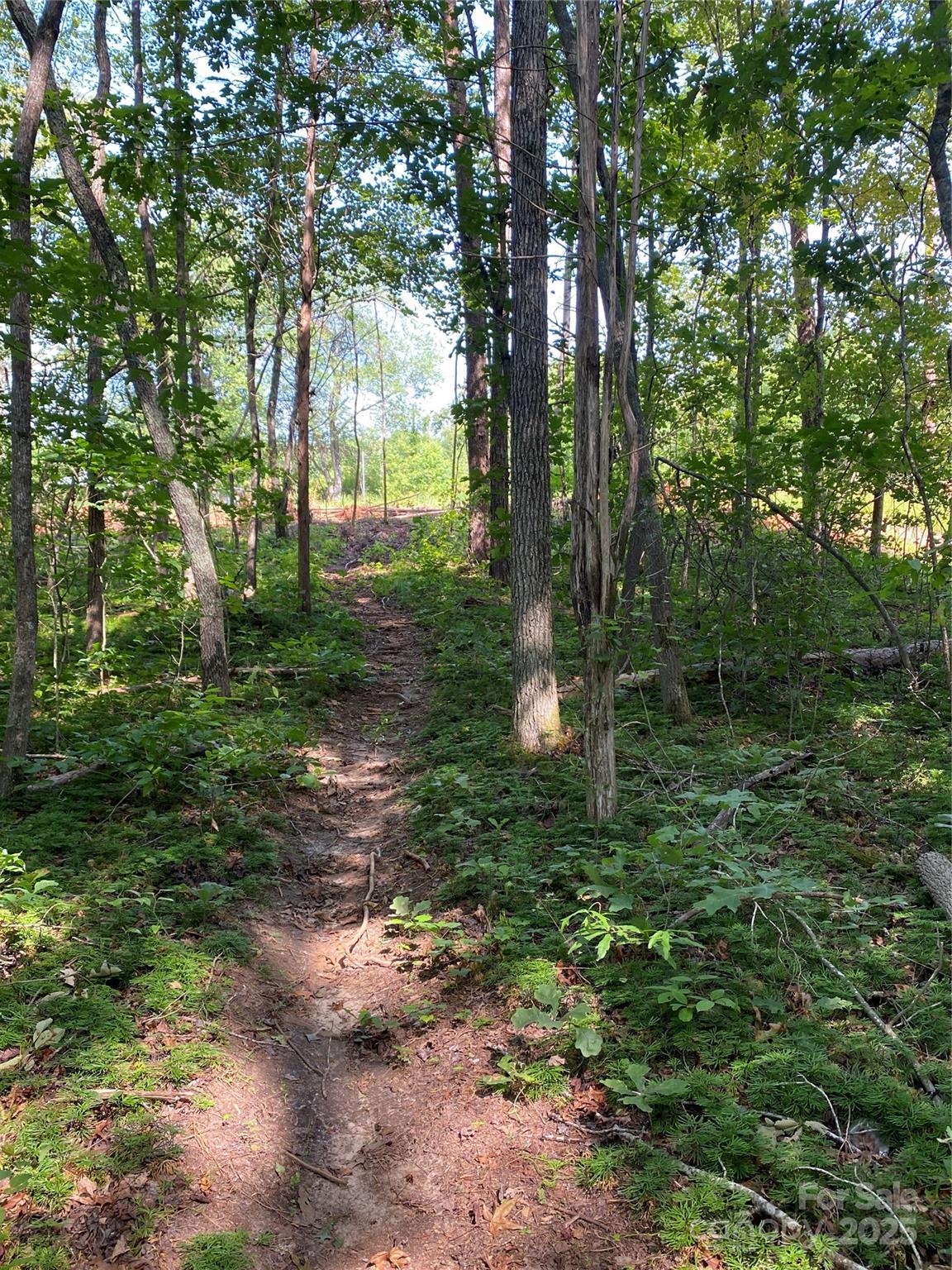 660 Pinehurst Road Ellenboro, NC 28040 - Photo 26 of 29 a view of outdoor space and garden