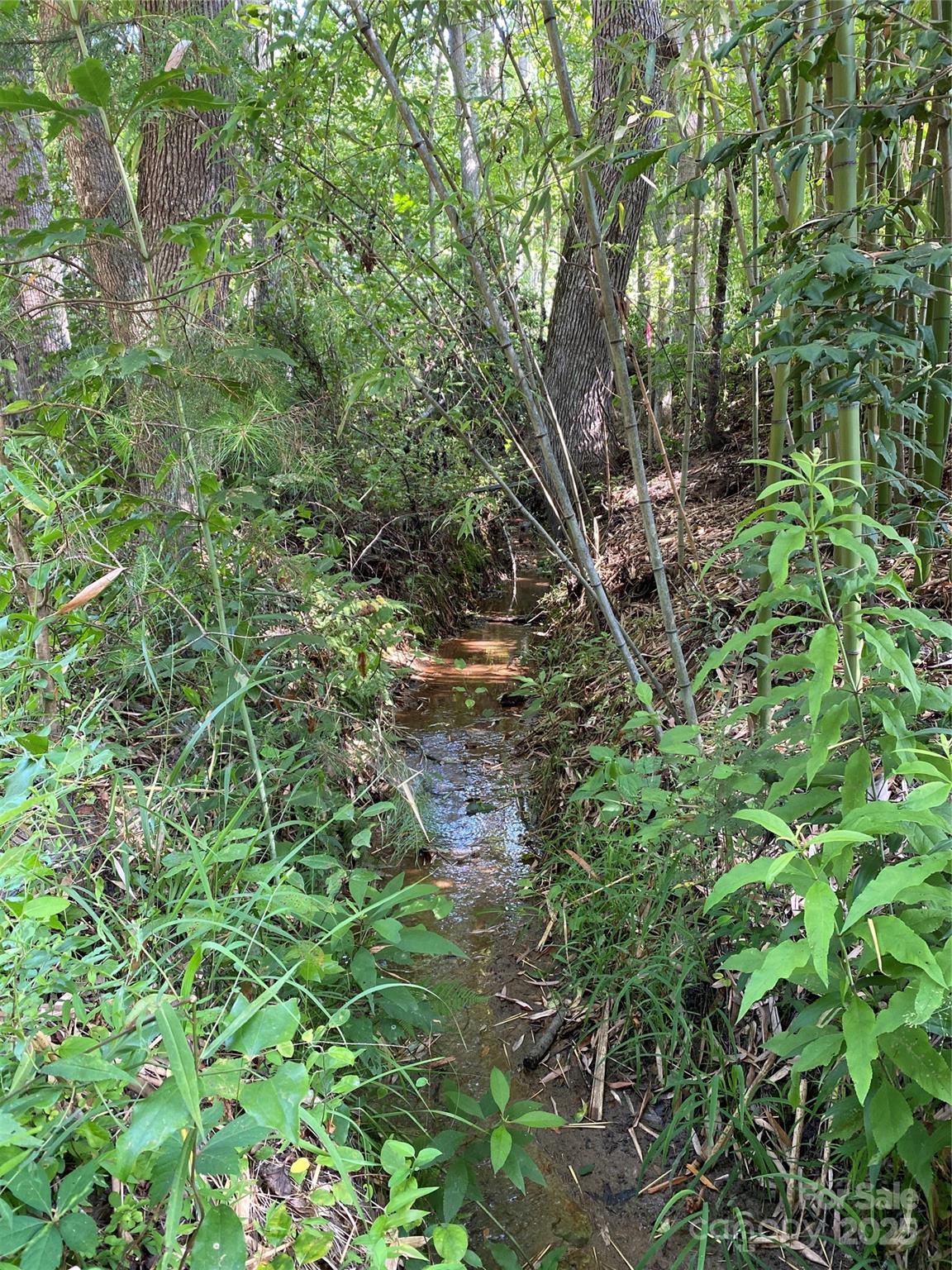 660 Pinehurst Road Ellenboro, NC 28040 - Photo 28 of 29 a plant view in yard