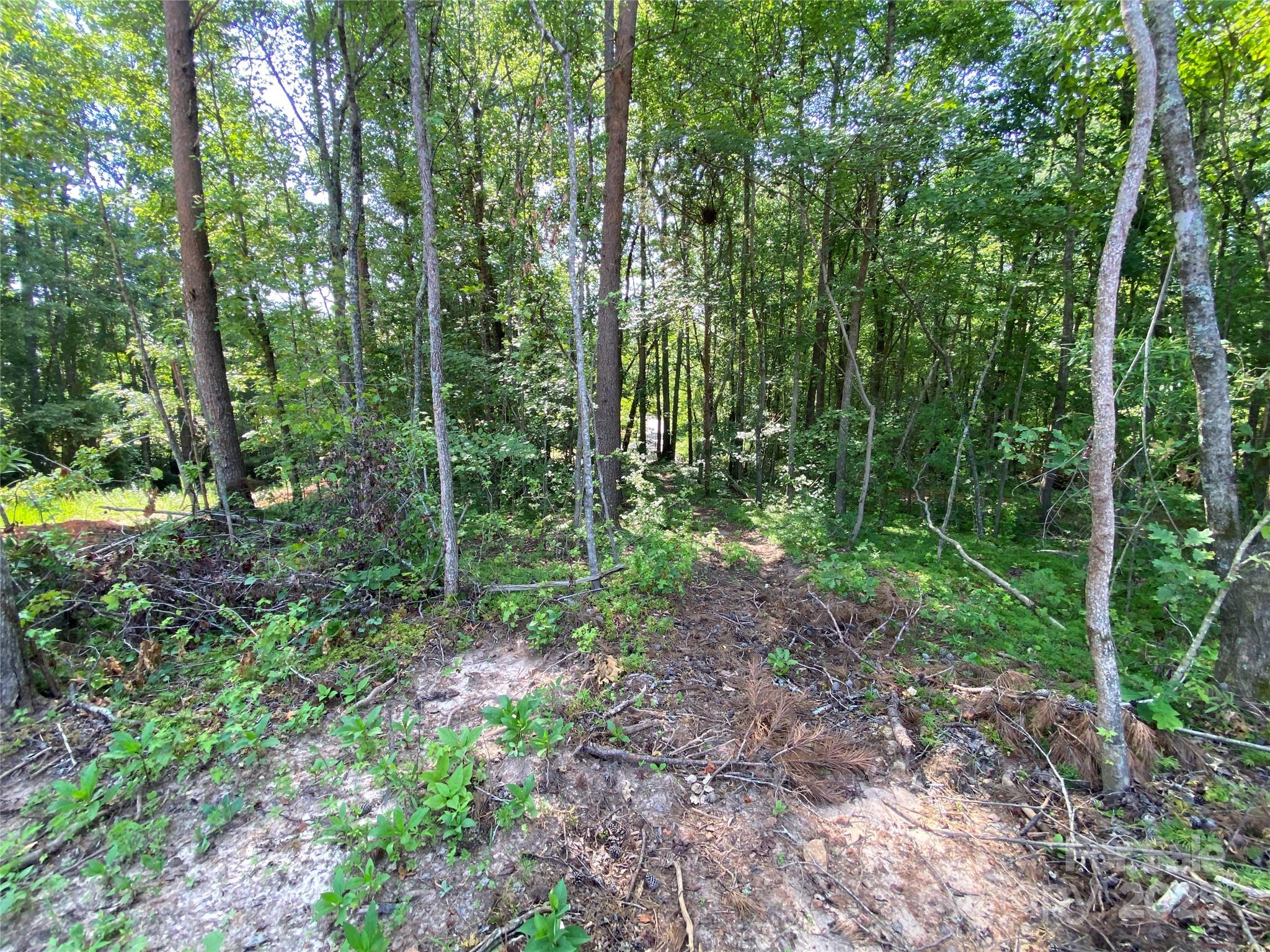 660 Pinehurst Road Ellenboro, NC 28040 - Photo 29 of 29 a view of forest