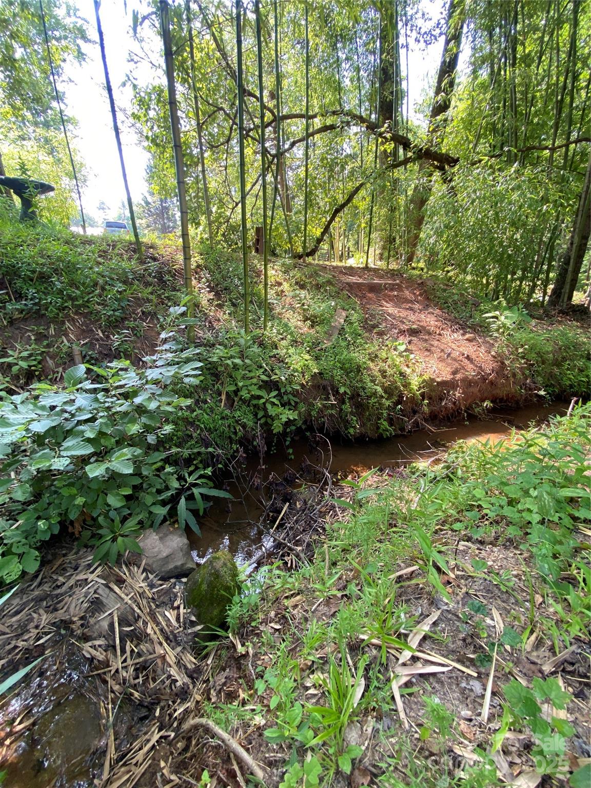 660 Pinehurst Road Ellenboro, NC 28040 - Photo 7 of 29 a backyard of a house with lots of green space