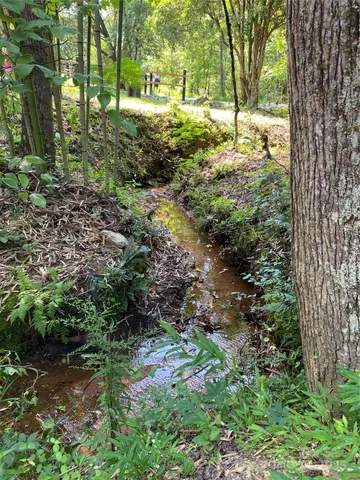 a view of a yard with plants and large trees