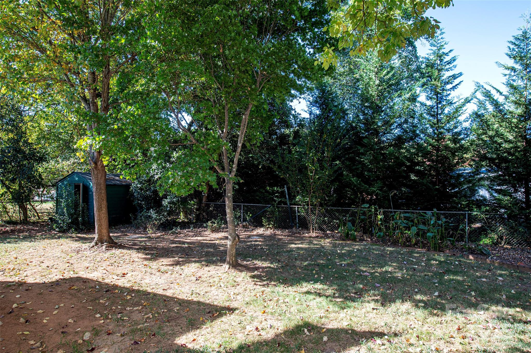 6332 Montpelier Road Charlotte, NC 28210 - Photo 29 of 30 a view of a tree in front of a tree