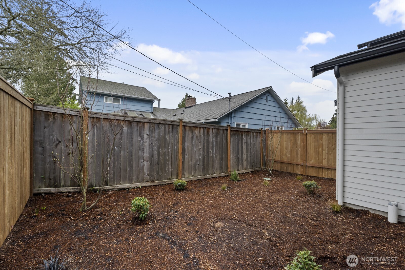2725 Northeast 87th Street Seattle, WA 98115 - Photo 6 of 30 a view of a backyard