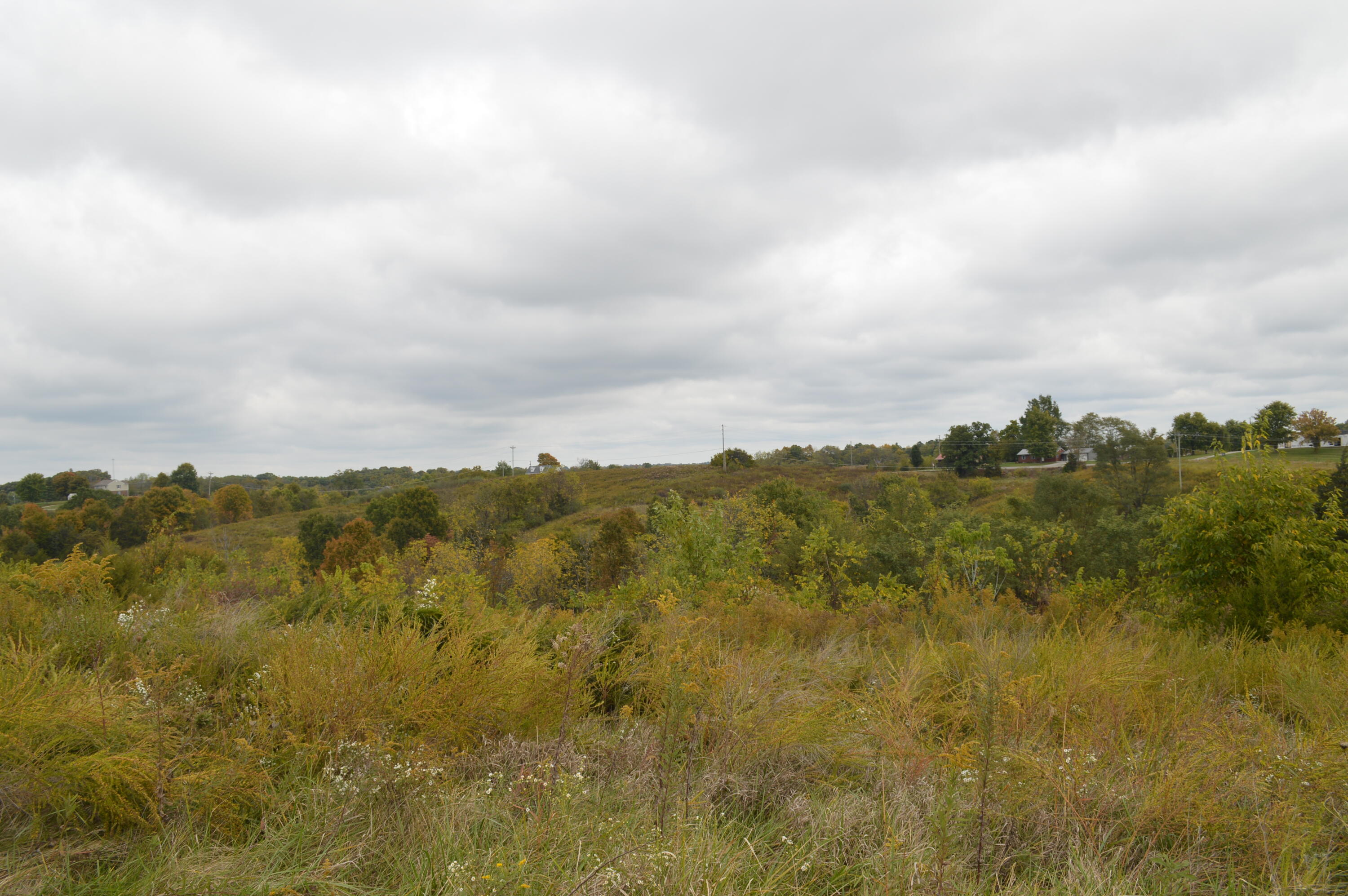 Lot #6 Georgetown Road Owenton, KY 40359 - Photo 22 of 24