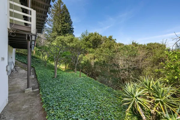a view of a garden