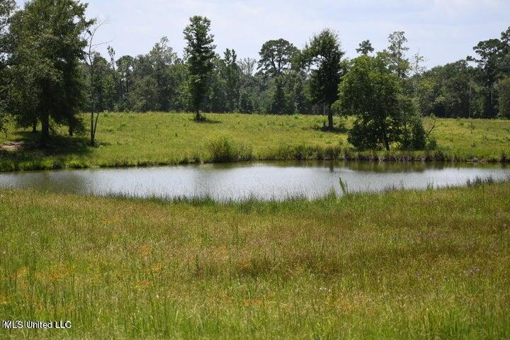pond
