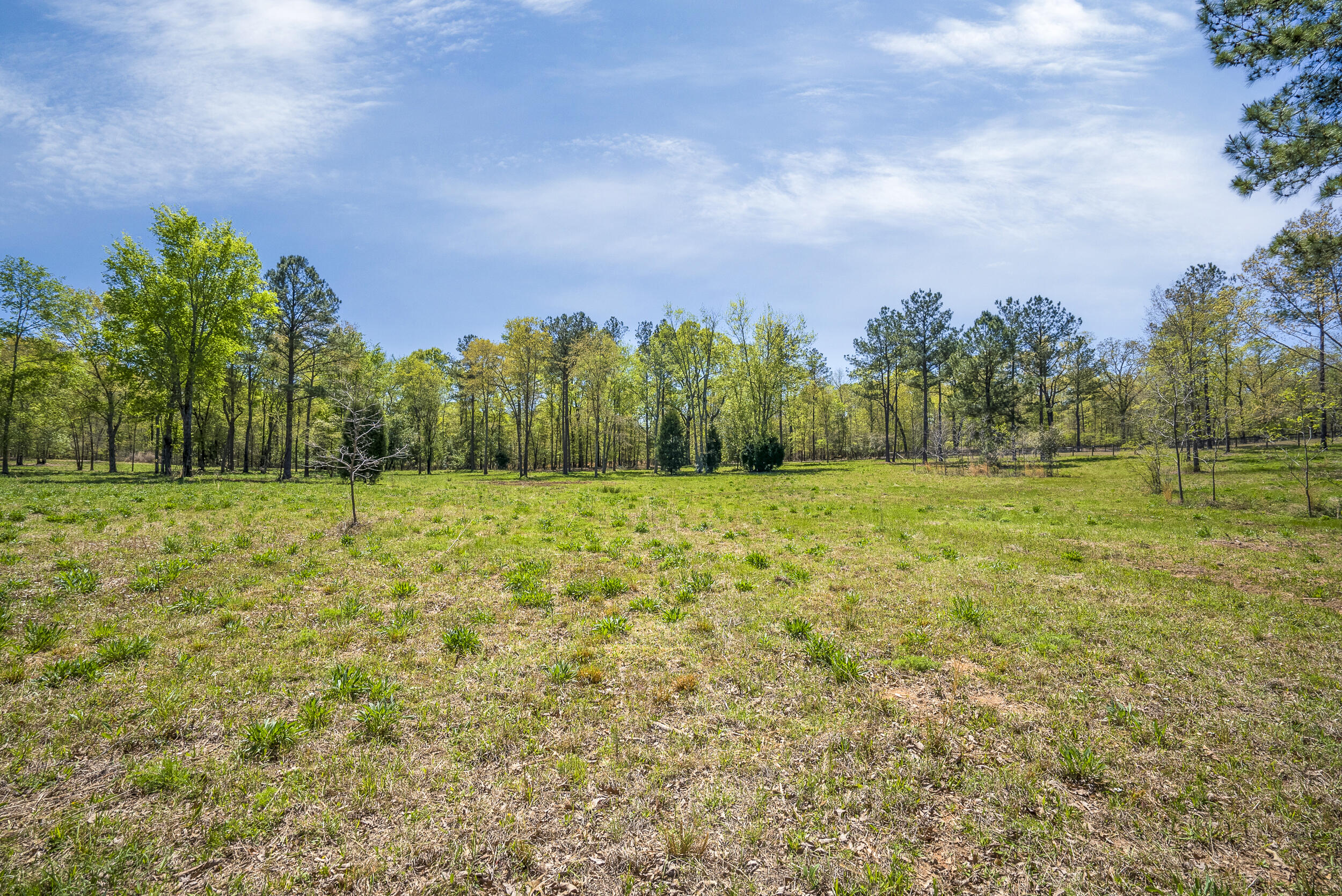 0 Implement Road Aiken, SC 29803 - Photo 20 of 38 a view of a field with trees in background