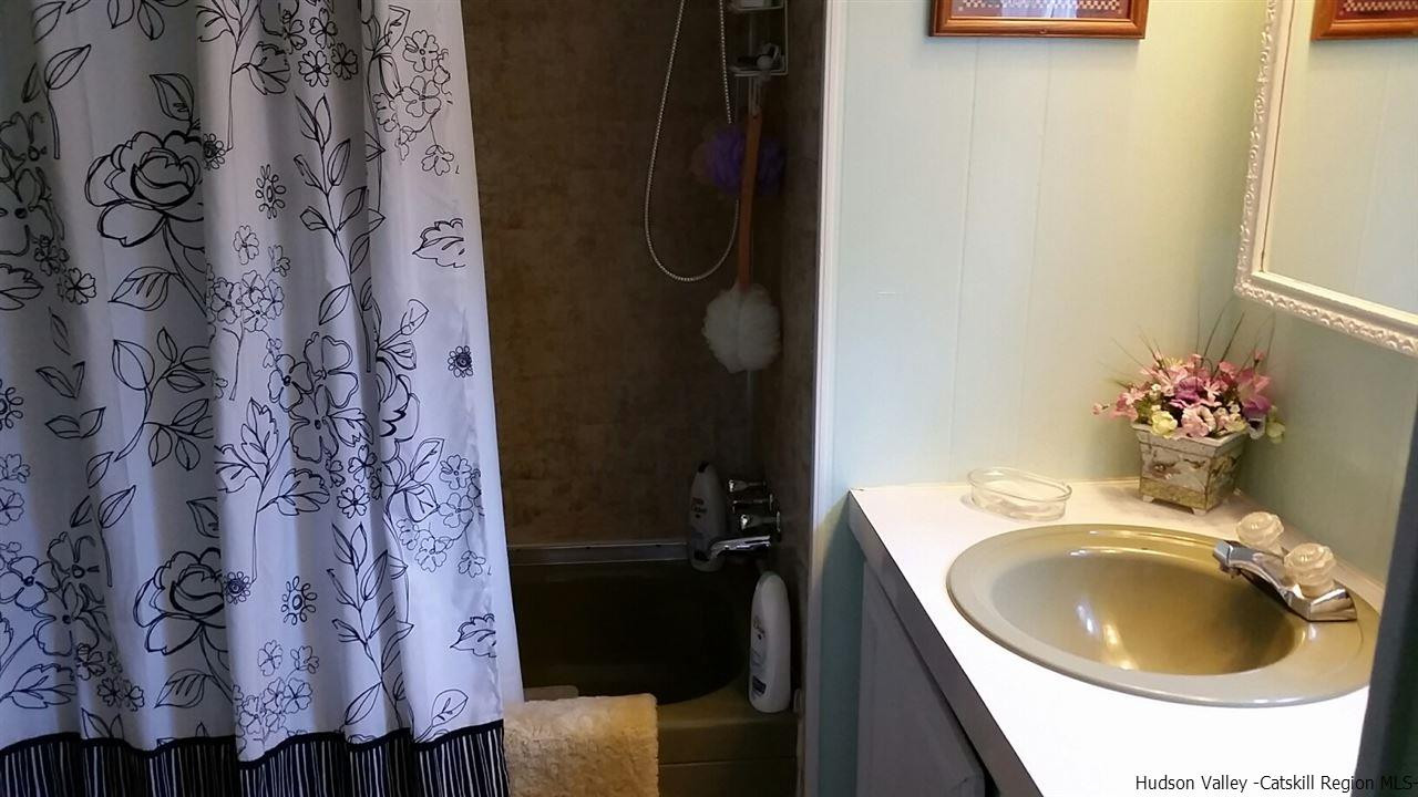1369 North Beech Ridge Road Prattsville, NY 12468 - Photo 13 of 16 Photo 13