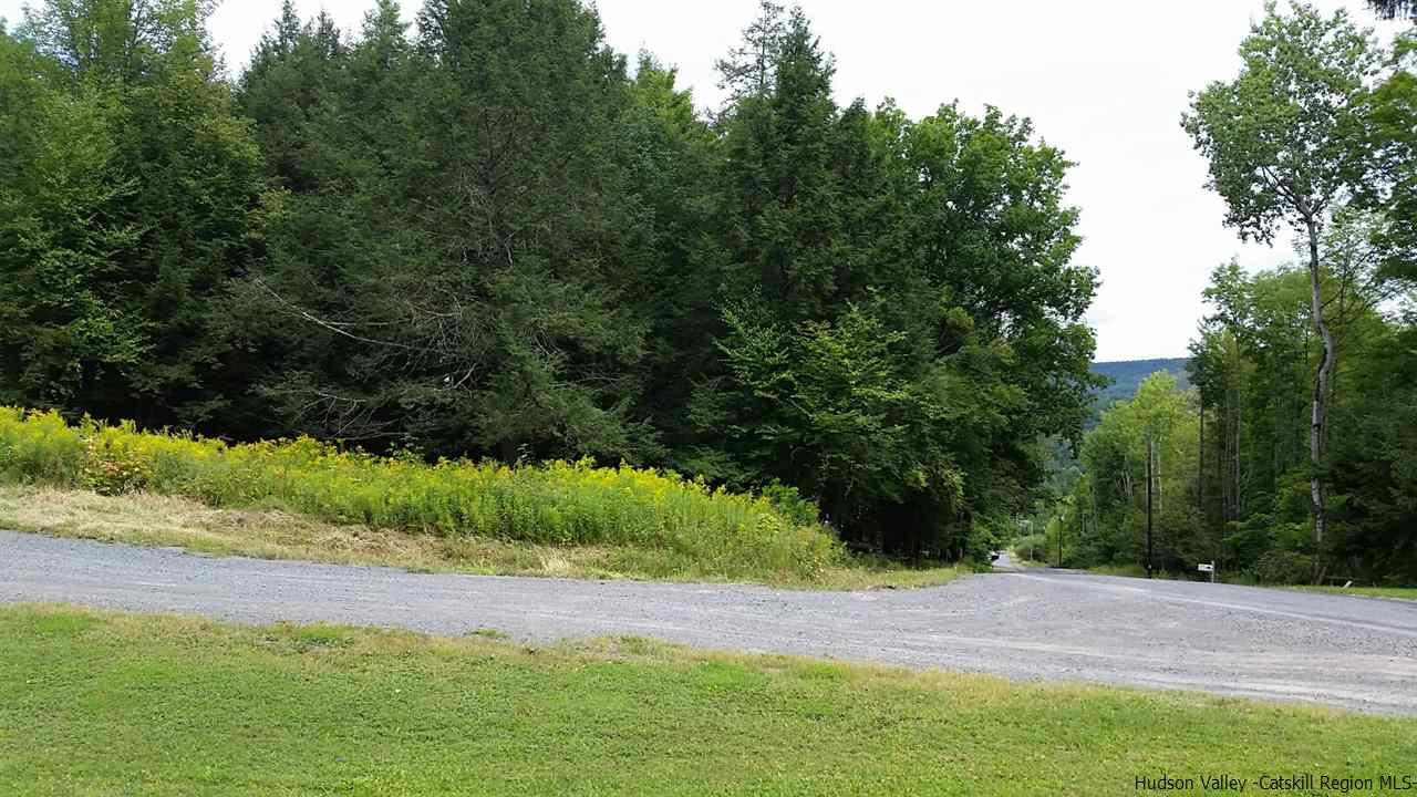 1369 North Beech Ridge Road Prattsville, NY 12468 - Photo 16 of 16 Photo 16