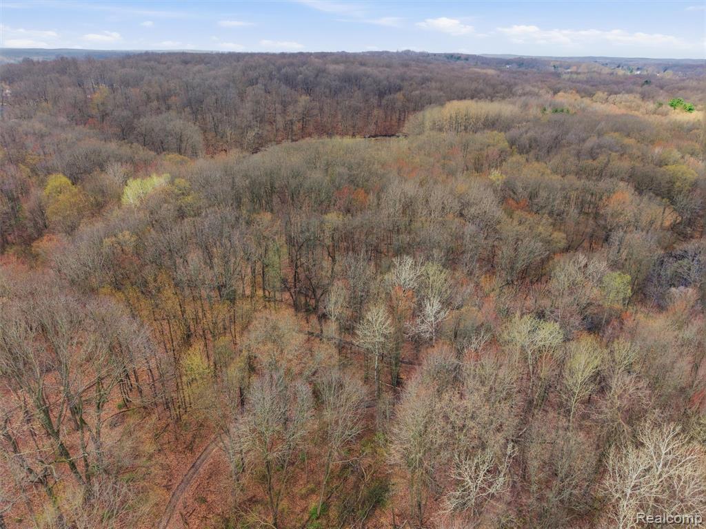11810 Scenic Valley Road Davisburg, MI 48350 - Photo 45 of 46