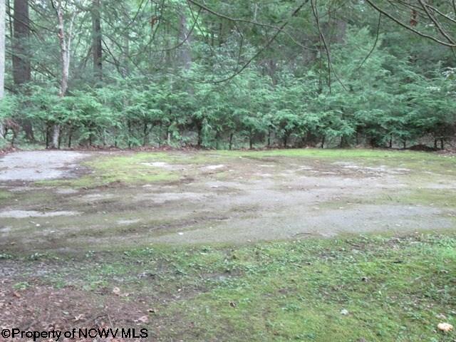 3991 Holly Meadows Road Parsons, WV 26287 - Photo 19 of 19 Gallery Image 19