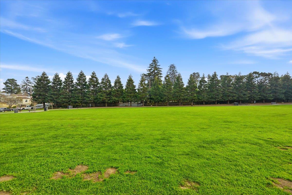 555 Palm Avenue, Unit 202 Millbrae, CA 94030 - Photo 31 of 40 a view of a field with trees in the background
