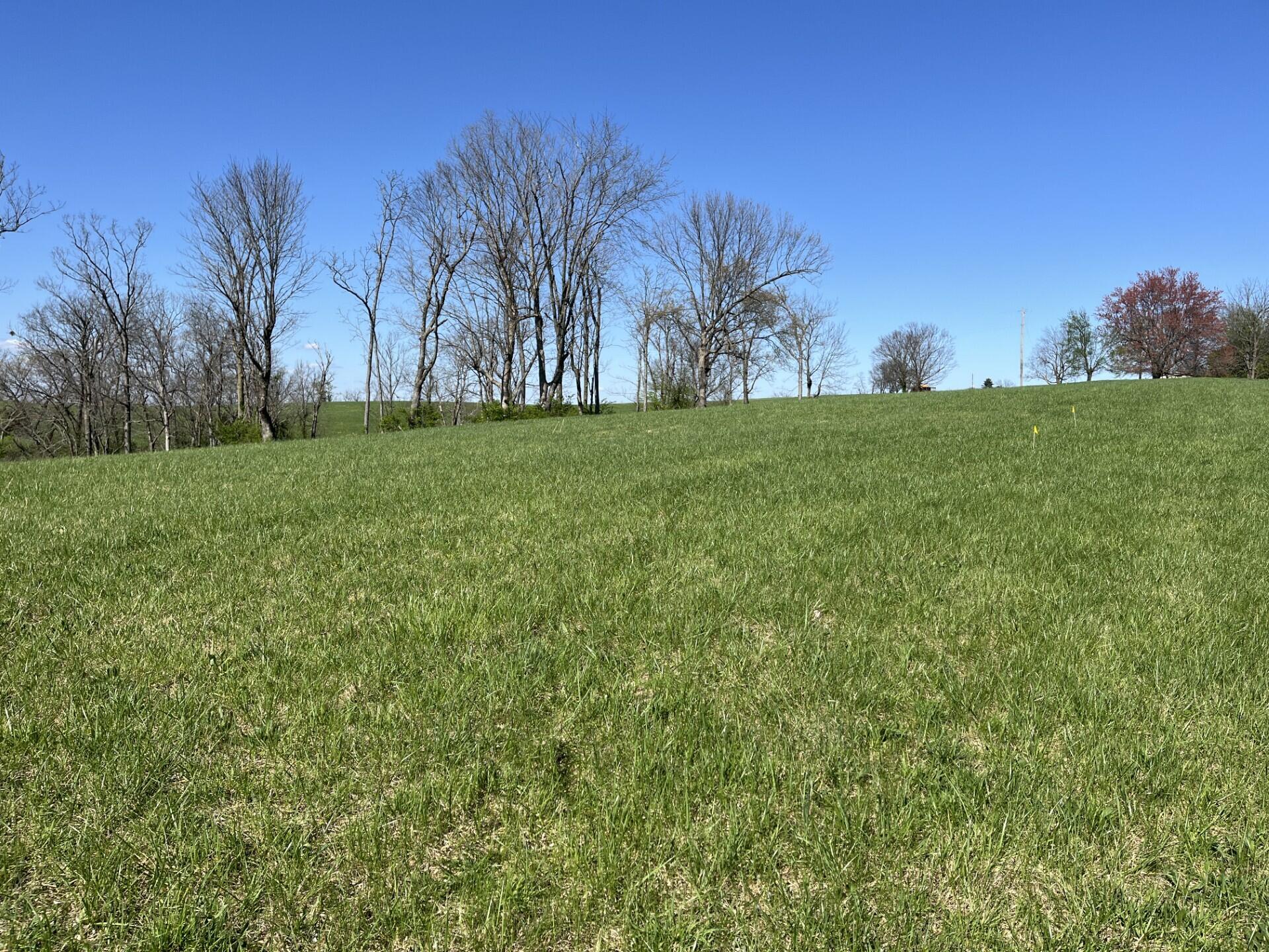 2 Moran Mill Road Richmond, KY 40475 - Photo 6 of 8 Image 5
