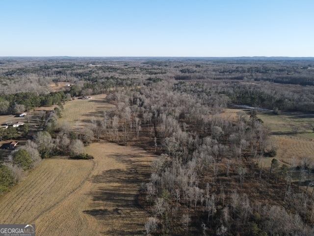 Lot 2 Caldwell Zebulon, GA 30295 - Photo 5 of 12 a view of a yard