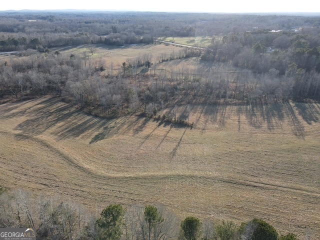Lot 2 Caldwell Zebulon, GA 30295 - Photo 6 of 12 a view of a lake view