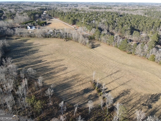 Lot 2 Caldwell Zebulon, GA 30295 - Photo 7 of 12 a view of a dry yard