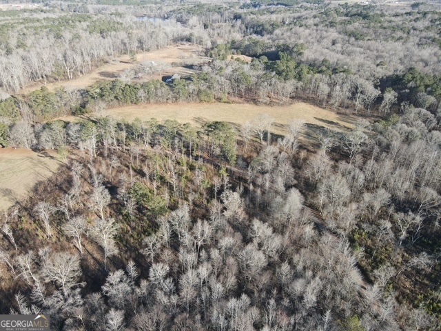 Lot 2 Caldwell Zebulon, GA 30295 - Photo 8 of 12 a view of a dry yard covered with trees