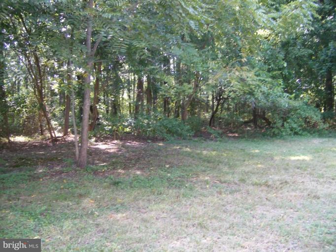 9778 Wades Point Road McDaniel, MD 21647 - Photo 5 of 24 Exterior #4