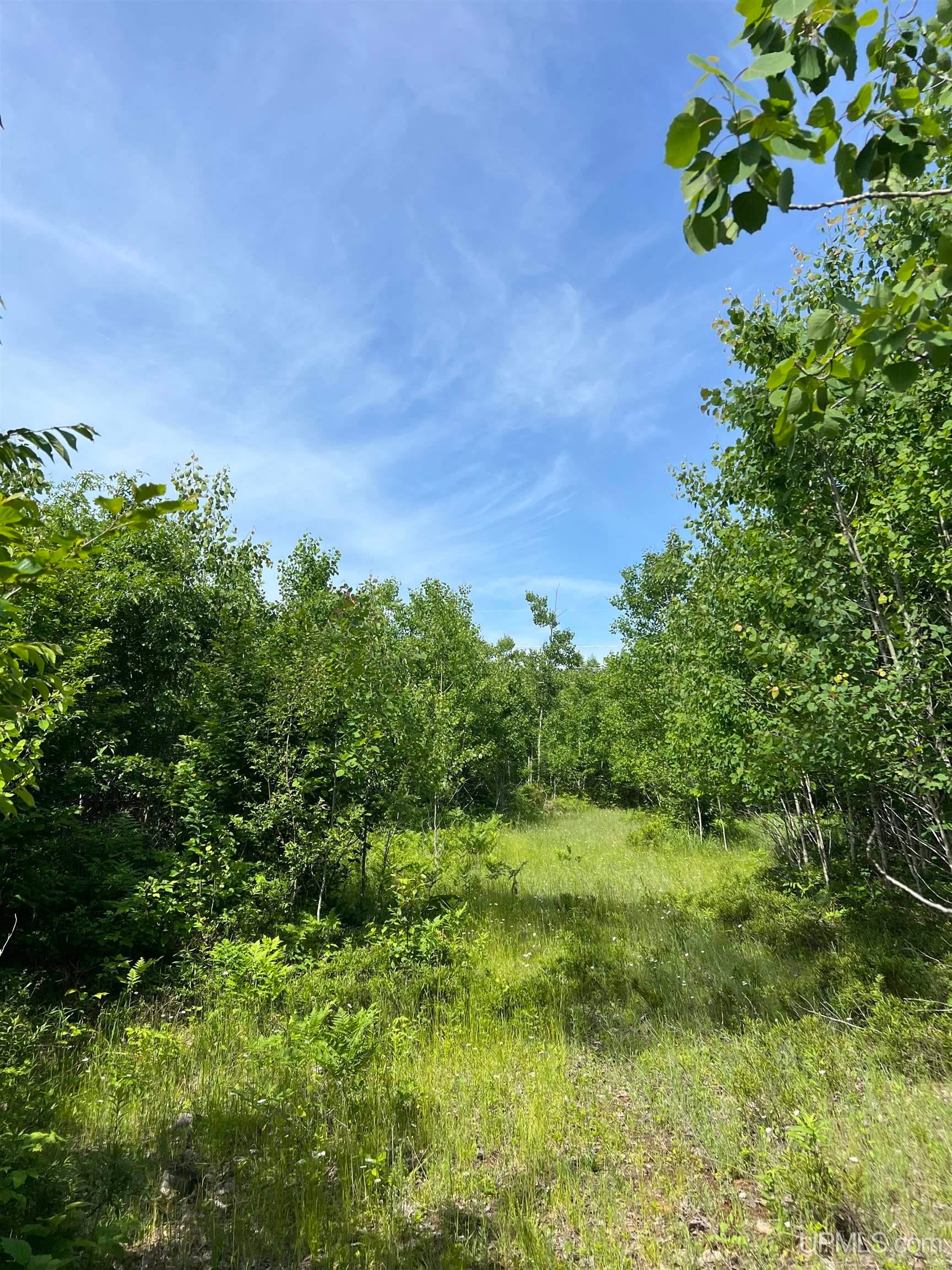 Tbd Chalk Hills Road Daggett, MI 49821 - Photo 7 of 59 Gallery Image 7