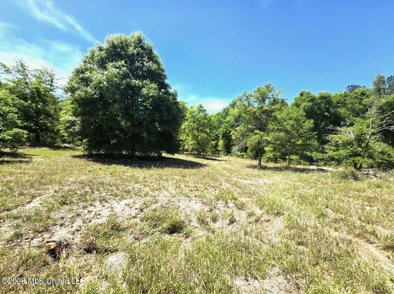 2151 Sally Parker Road Lucedale, MS 39452 - Photo 9 of 10 Back Yard