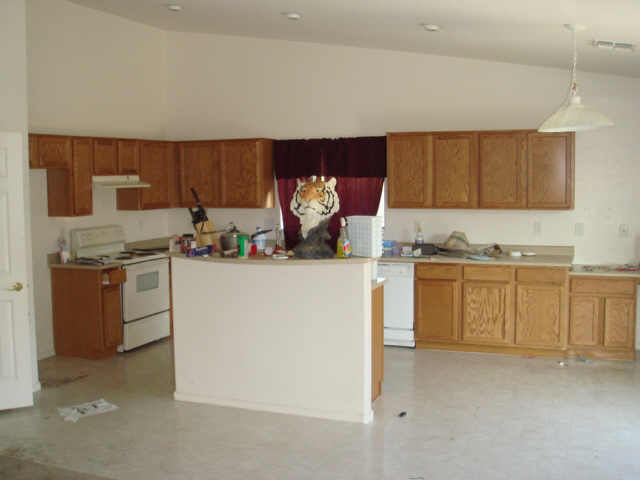 9718 West Heber Road Tolleson, AZ 85353 - Photo 3 of 6 Additional Photo