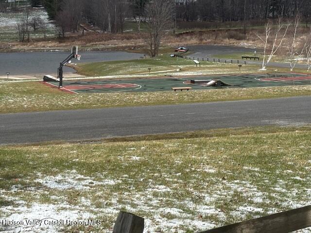 0 Peck Road Maplecrest, NY 12454 - Photo 3 of 6 image3