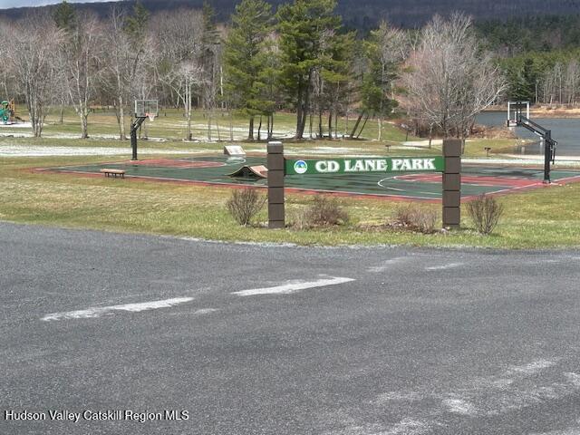 0 Peck Road Maplecrest, NY 12454 - Photo 5 of 6 image4