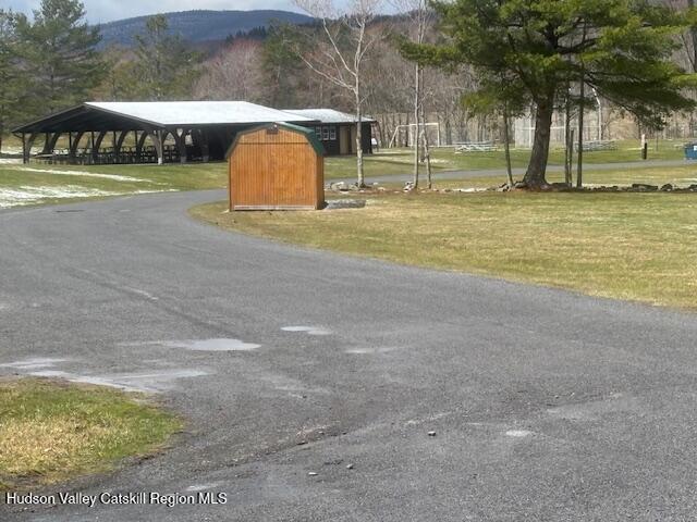 0 Peck Road Maplecrest, NY 12454 - Photo 6 of 6 image5