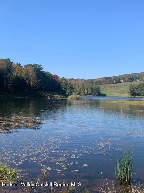 0 Peck Road Maplecrest, NY 12454 - Photo 10 of 11 9