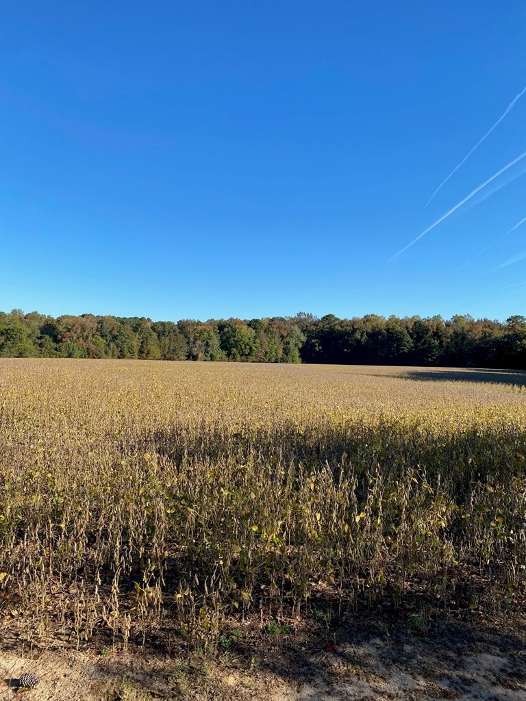 0 Gospel Temple Road Melfa, VA 23410 - Photo 5 of 11