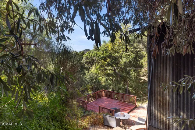 a view of a yard with a tree