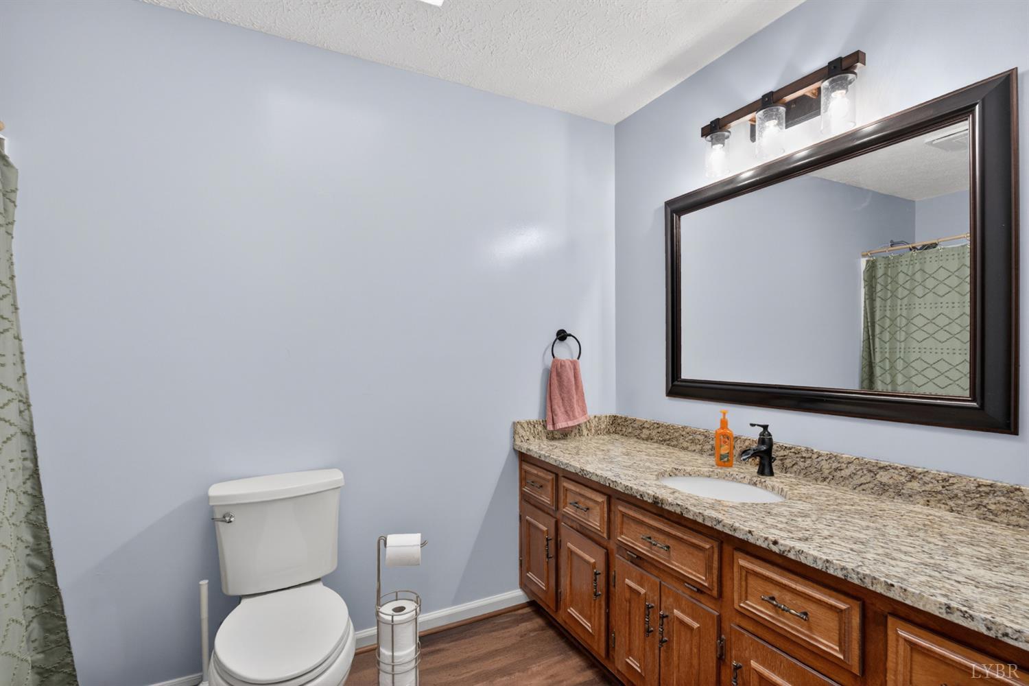 1002 Homeplace Road Rustburg, VA 24588 - Photo 19 of 48 a bathroom with a granite countertop toilet sink and mirror
