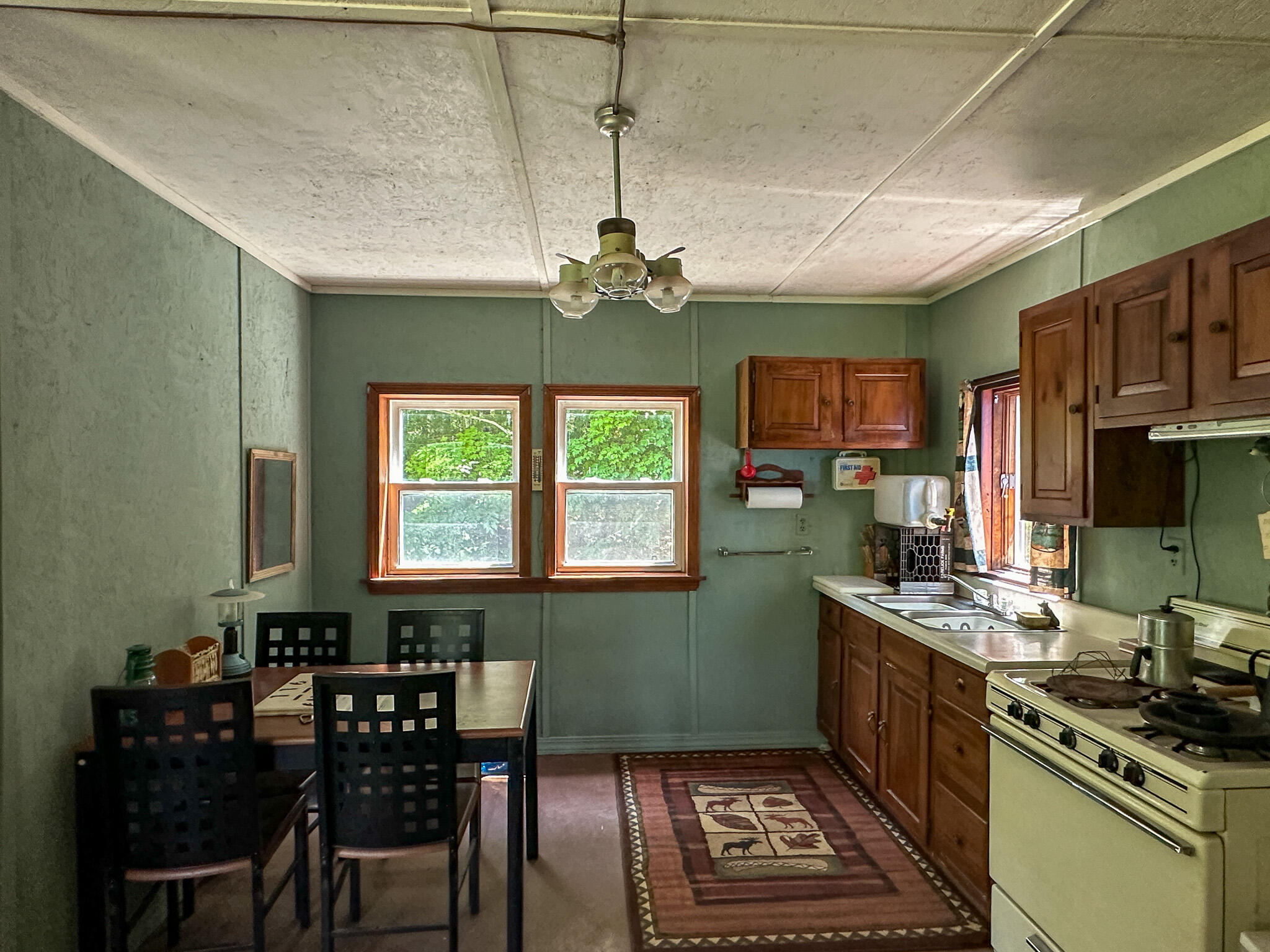 116 Ant Tracks Drive Springfield, ME 04487 - Photo 11 of 18 10