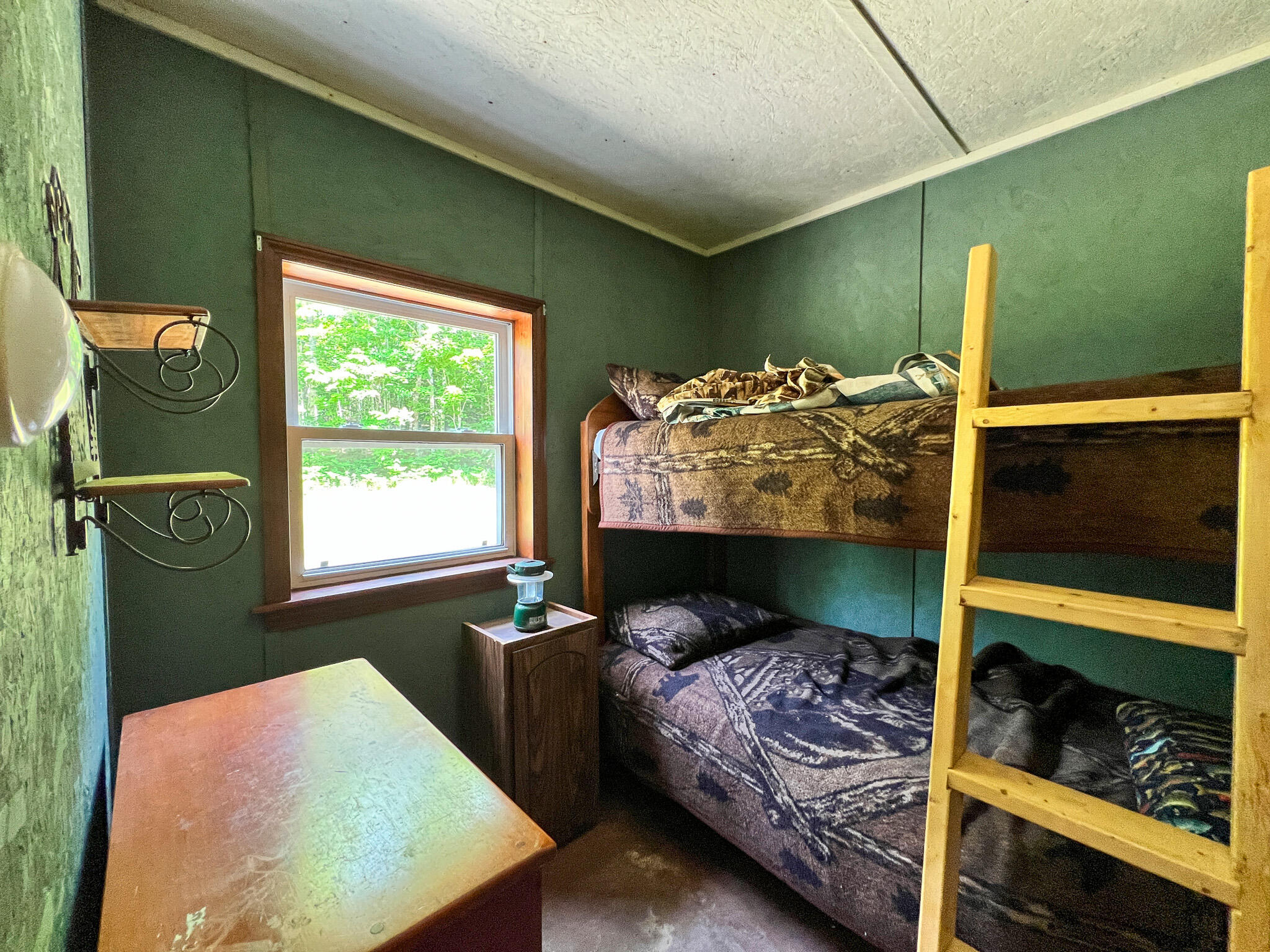 116 Ant Tracks Drive Springfield, ME 04487 - Photo 17 of 18 16