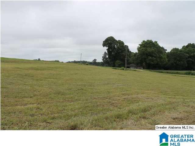 1782 County Road 98 Ranburne, AL 36273 - Photo 2 of 15
