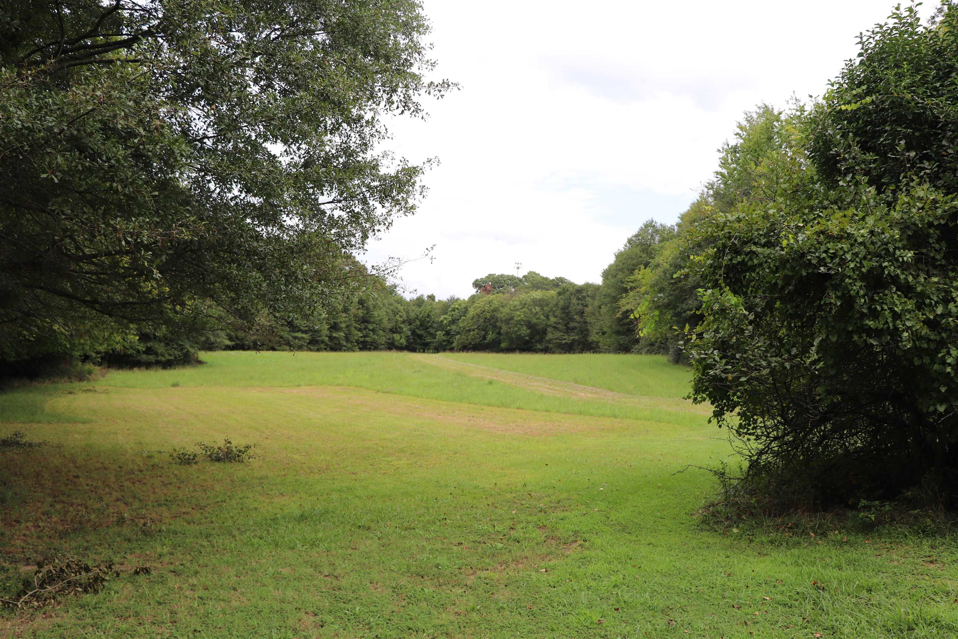 826 Rice Road Spartanburg, SC 29303 - Photo 33 of 35 Gallery Image 33