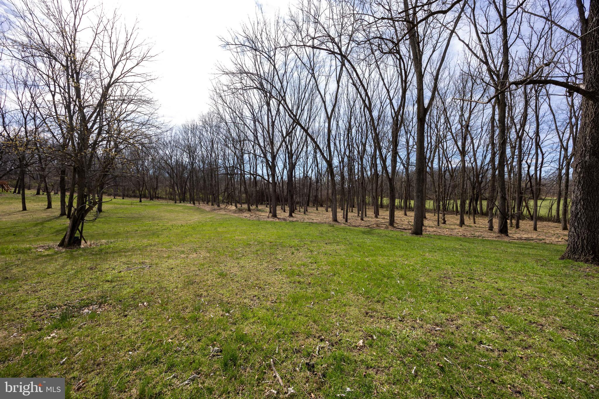 712 Morgan Grove Road Shepherdstown, WV 25443 - Photo 64 of 78