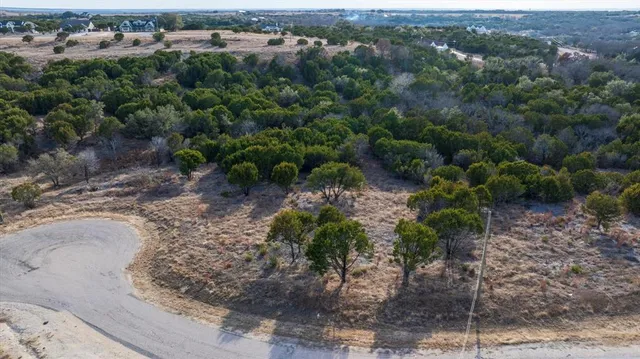 a view of a yard with a tree
