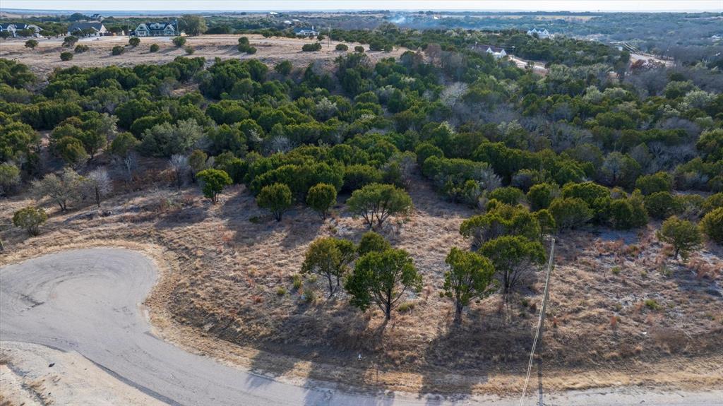 1204 County Road Nemo, TX 76070 - Photo 11 of 13 a view of a yard with a sink