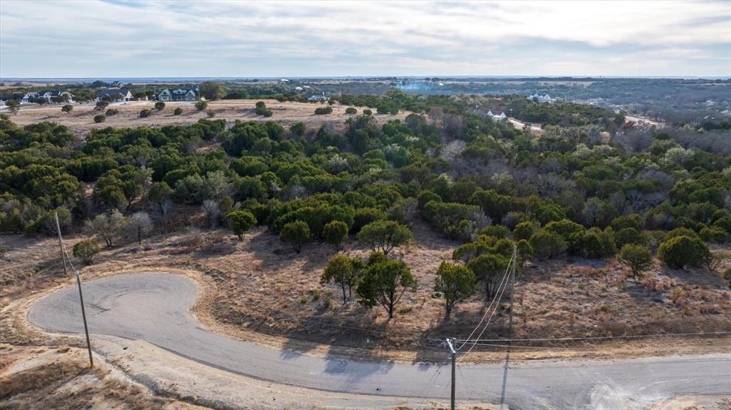 1204 County Road Nemo, TX 76070 - Photo 12 of 13 a view of a yard with a tree