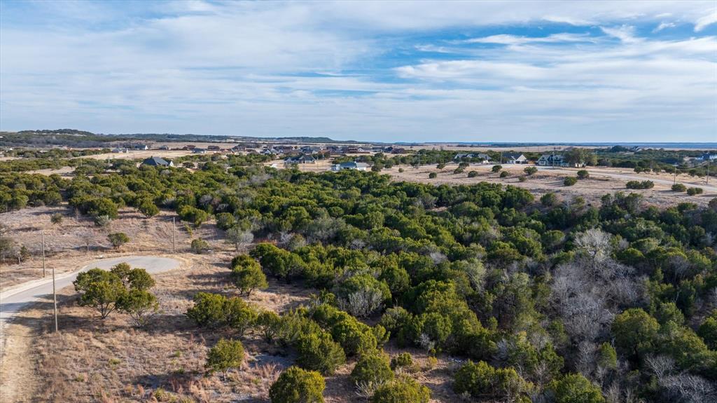 1204 County Road Nemo, TX 76070 - Photo 13 of 13 a view of a city with lots of trees