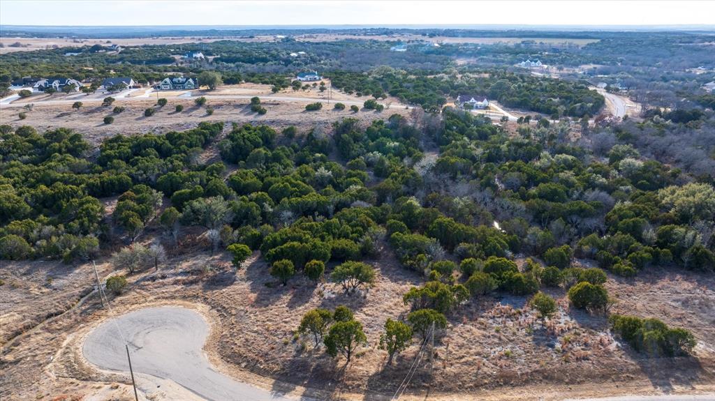 1204 County Road Nemo, TX 76070 - Photo 4 of 13 an aerial view of multiple house