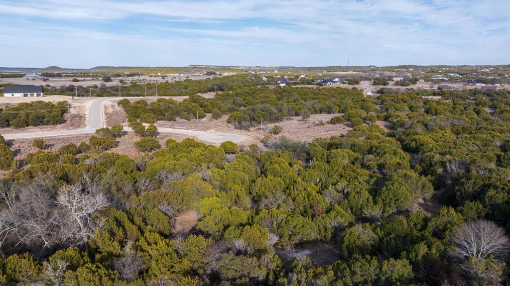 1204 County Road Nemo, TX 76070 - Photo 6 of 13 a view of lake and mountain