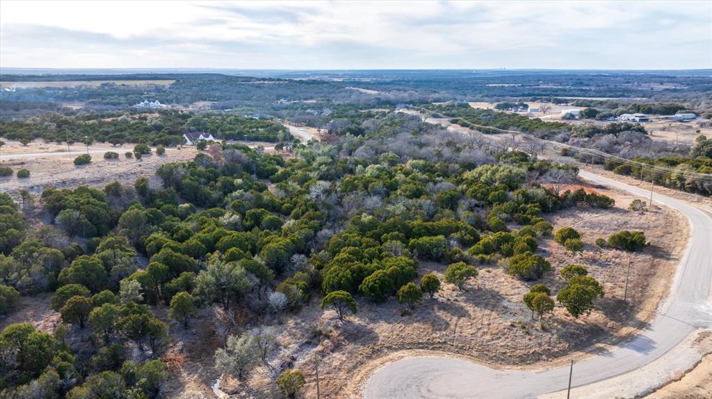 1204 County Road Nemo, TX 76070 - Photo 8 of 13