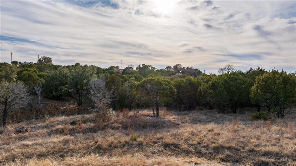 1204 County Road Nemo, TX 76070 - Photo 10 of 13 a view of a yard with a tree