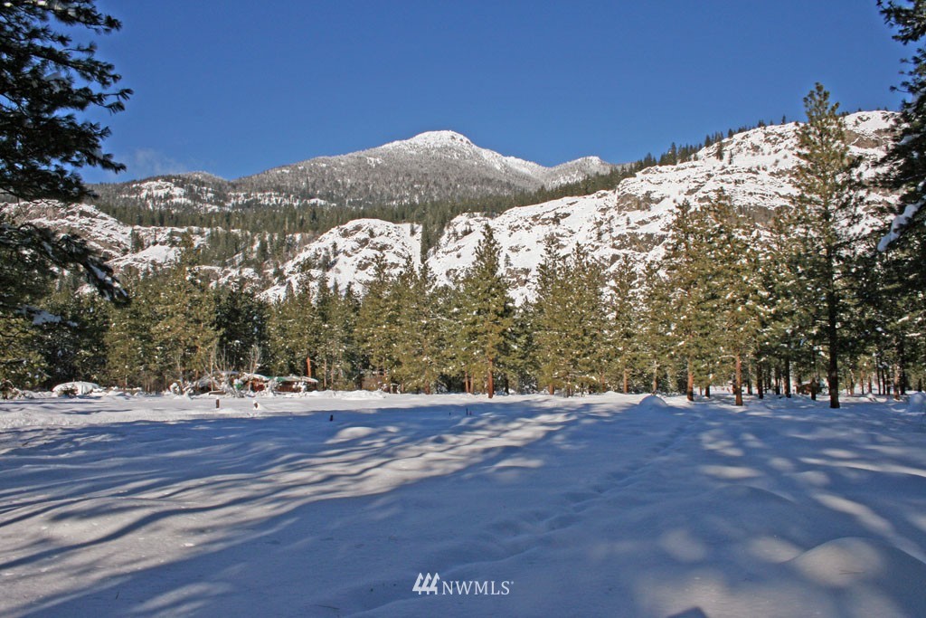 35 Country Road Mazama, WA 98833 - Photo 1 of 23 Gallery Image 1