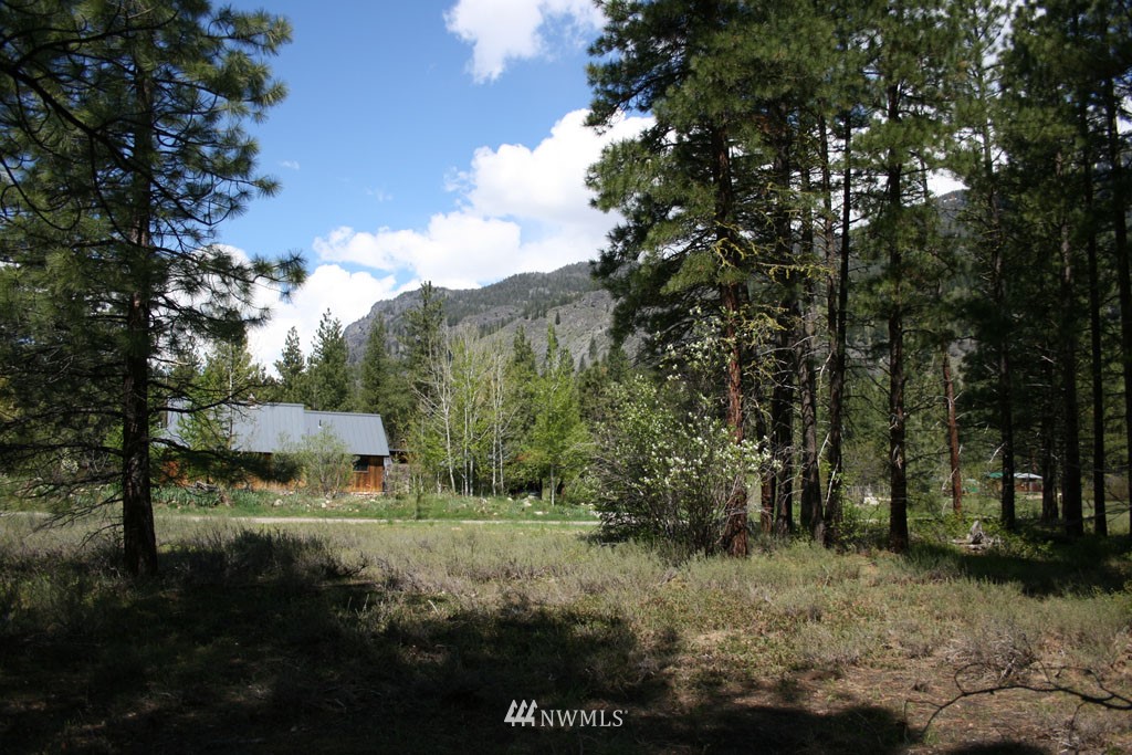 35 Country Road Mazama, WA 98833 - Photo 11 of 23 Gallery Image 11